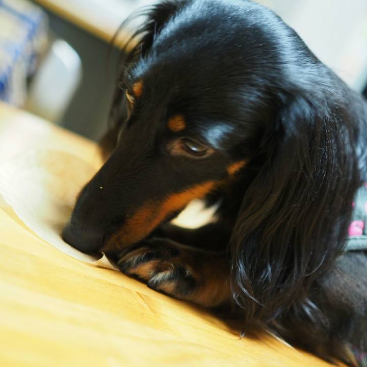 3797cd99 86e9 4e8e b58c cf939f197817