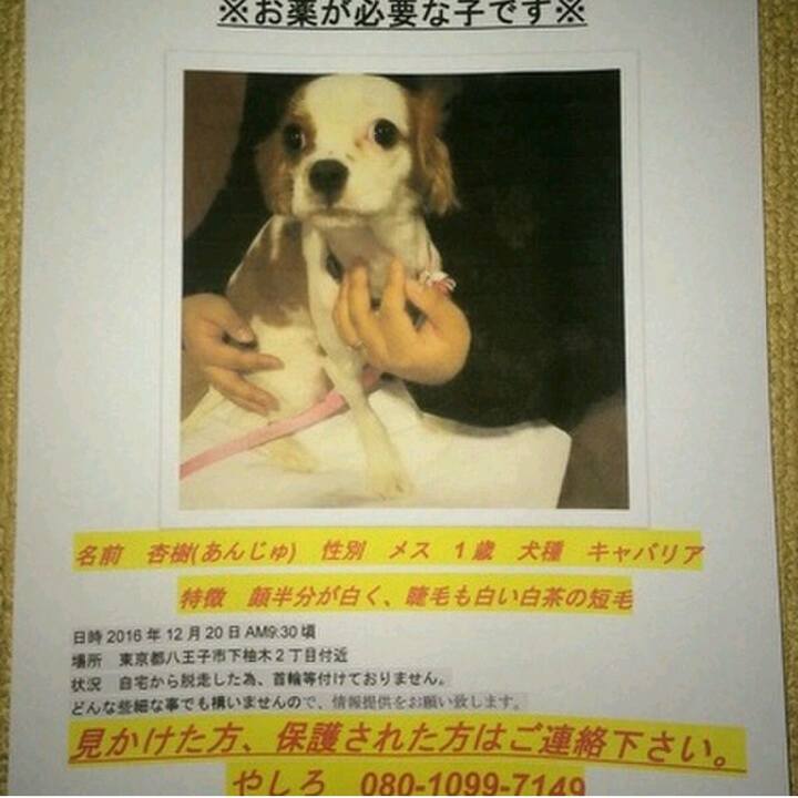 3797ed1e 61e5 497d 9a3e 227b27f330f2