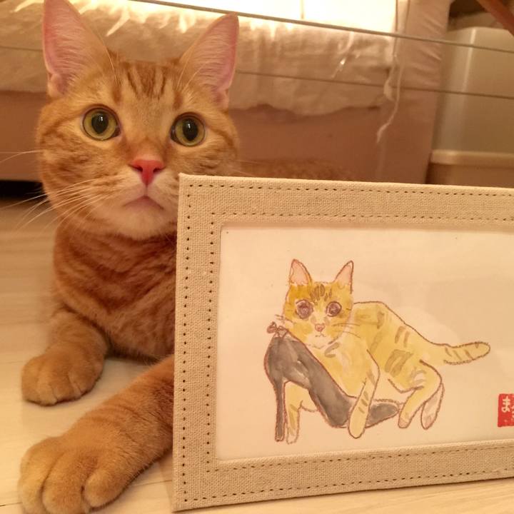 37980a6a 56bb 42a8 873f 7e686cc003b9