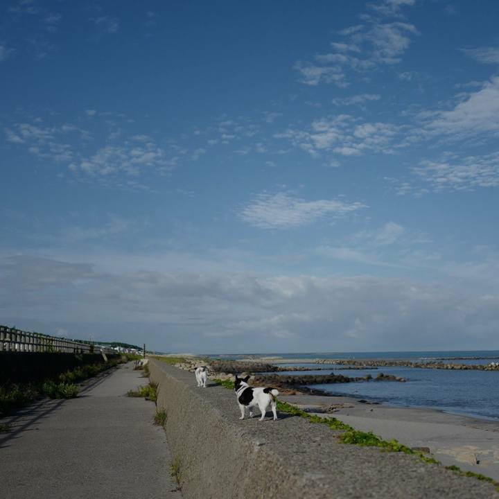 37983484 a799 4f61 80a7 849ffdd5b89a