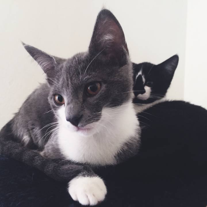 3798a9b7 685a 448b a215 6053d384340b