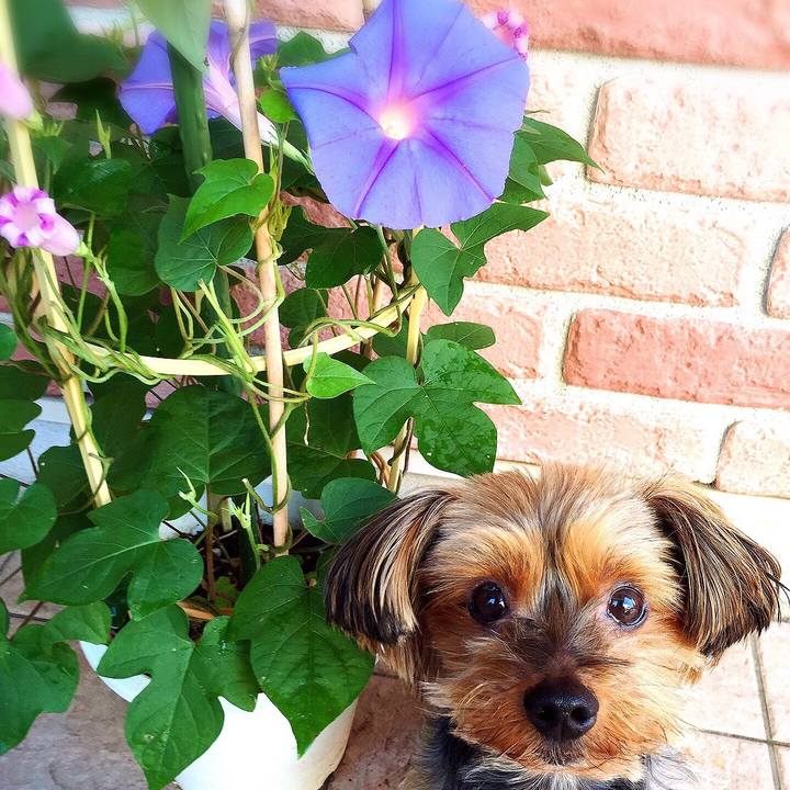 3798c5d8 98d5 4dce 99b0 f7b0e33ca846