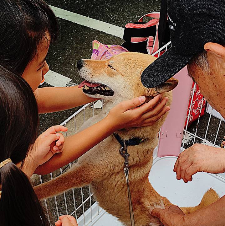 3798fee9 61fc 464f b47f 7822a7eb15a6