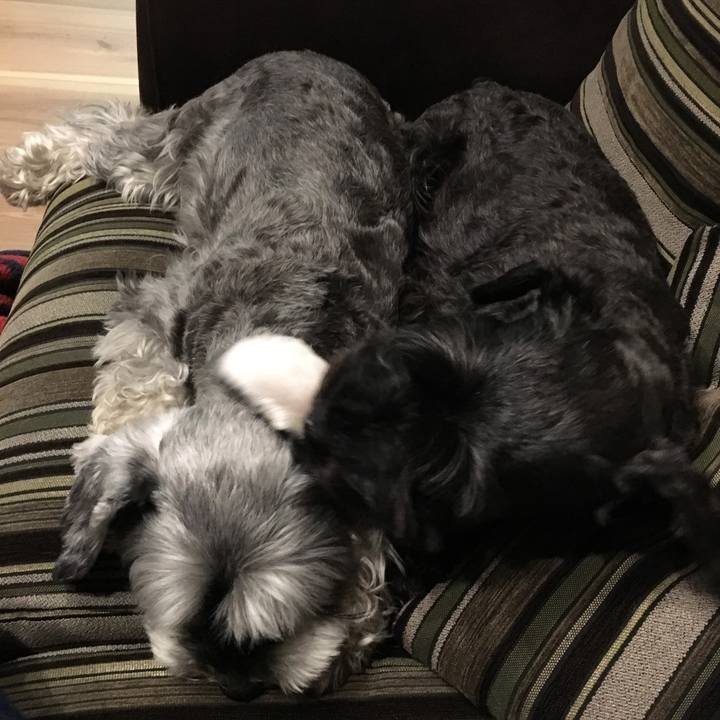 379948b0 b9ad 47f3 9c9a ab5cb3b200b2