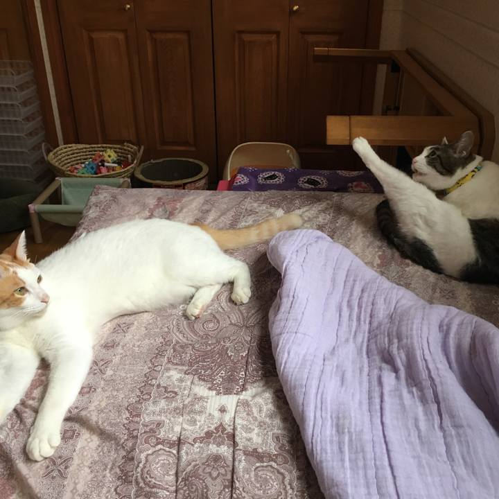 3799570e 67d4 44c3 b562 8a98be43edd2