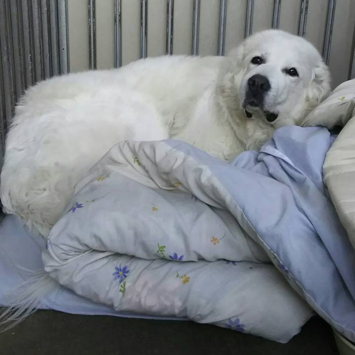 37999138 45fa 4be9 84db f48fea0fbe6d