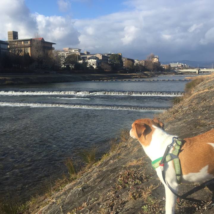 3799f0d0 e0bf 4a09 b707 85b40f25d58c