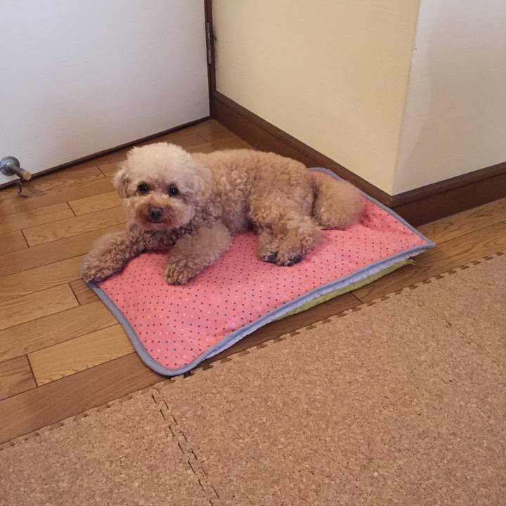 379a29da bb26 4099 87c4 16e4aead1acf