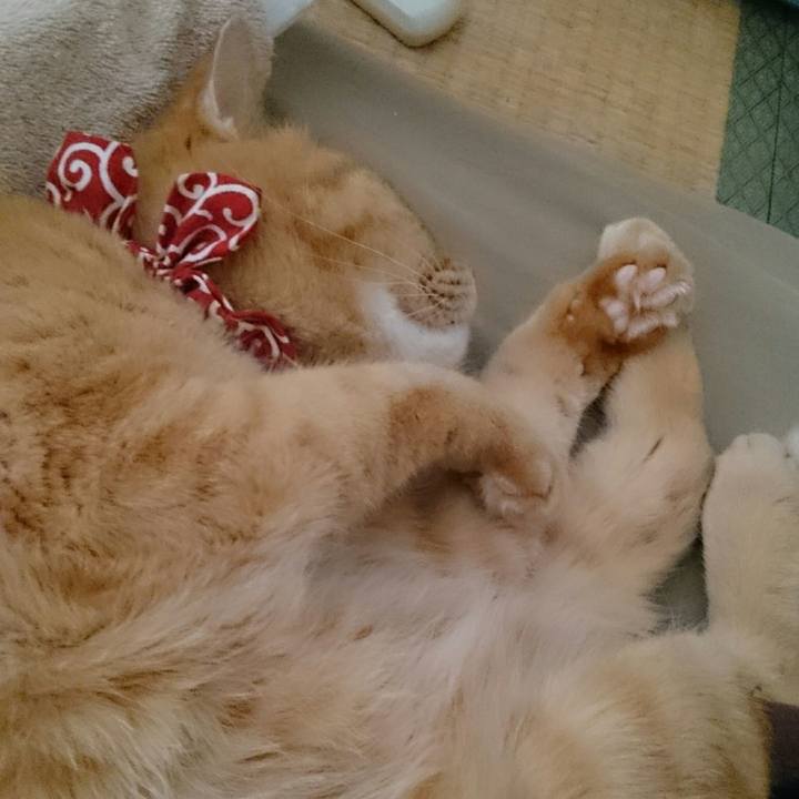 379a58df 98b5 4227 8c94 f3d71a6c98b2