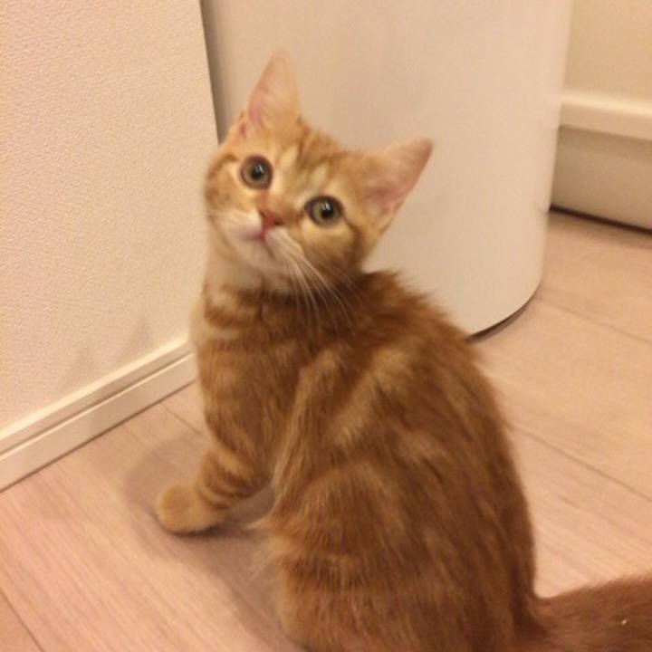 379aecd1 49b9 4abd 842b 54f7dc9eb7ce