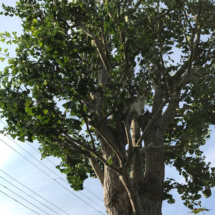 379af9dd a766 43dd 9bd8 2faa08fac3b5