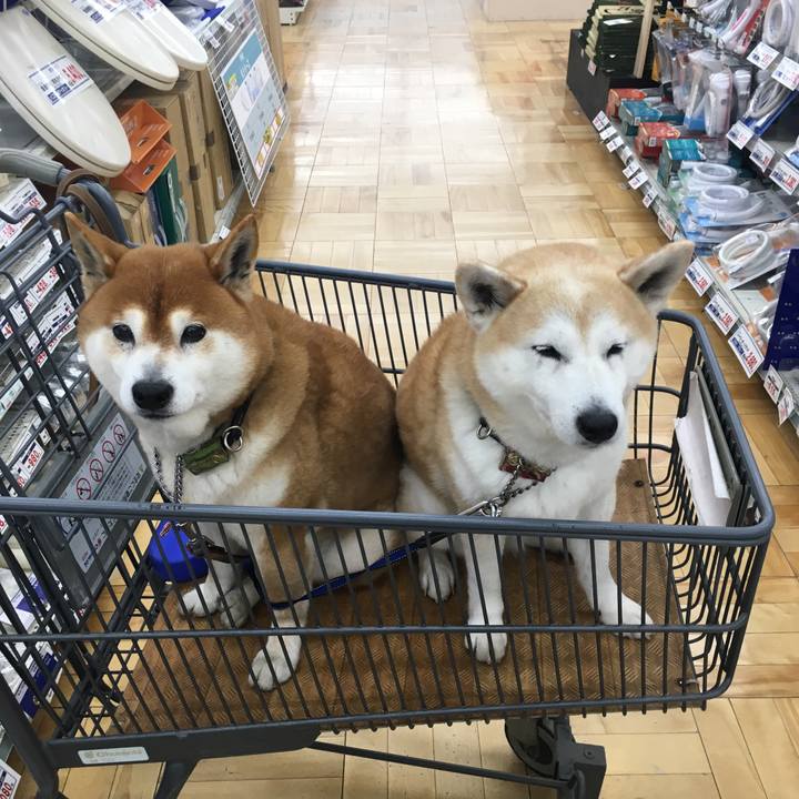 379b120d 6f37 4e05 94a2 b8d17b99a9db