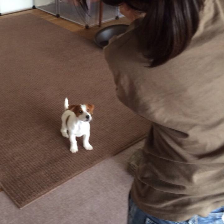 379b4d1a 2c7f 4091 acc7 d090d4aafc0a