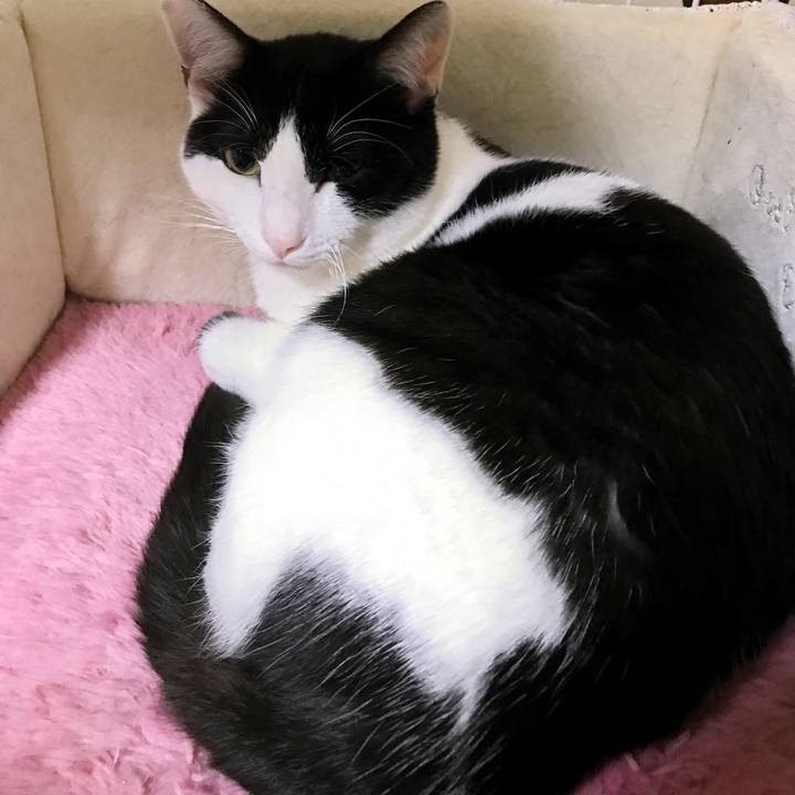 379b5fb1 55b9 4ab1 9886 0d323b65746e