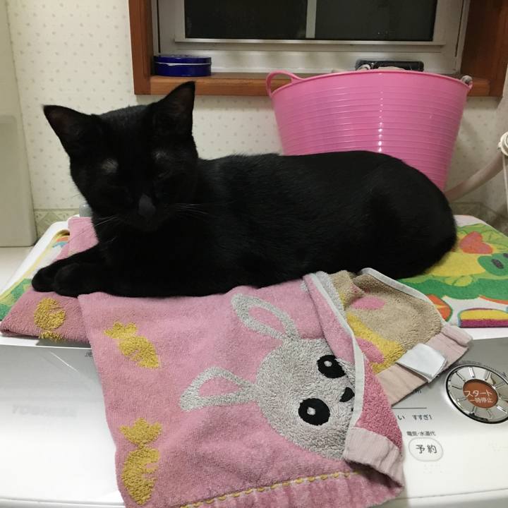 379b65b3 ea8f 40f4 8ff8 4dea99f58132