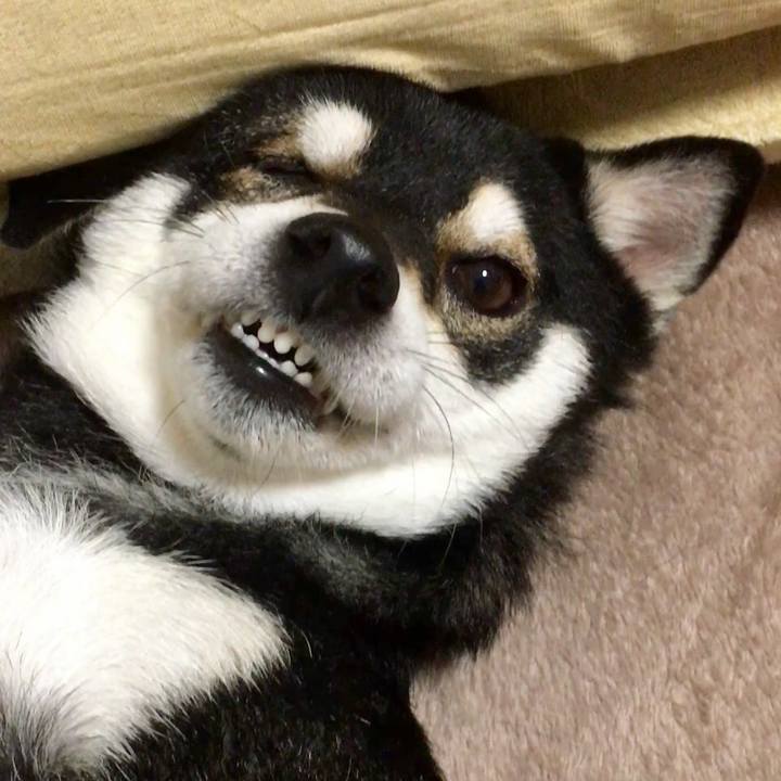 379b9d38 ef72 4659 a62c 26eb18486f9b