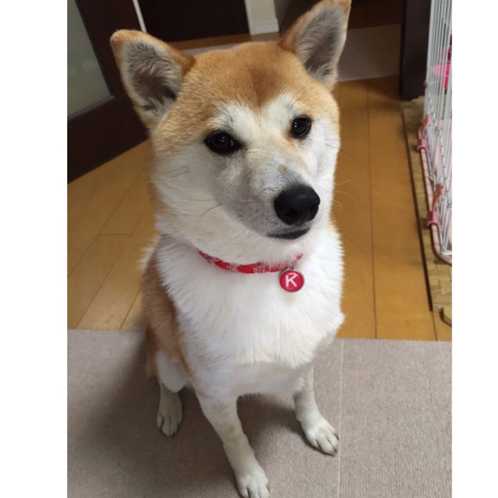 379b9e25 d733 4c8d aa75 6f91703f4ea5