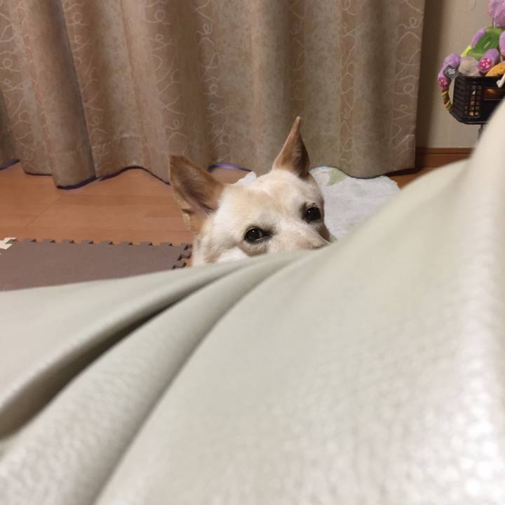 379be663 57b4 4367 9aaa 05df4f65321b