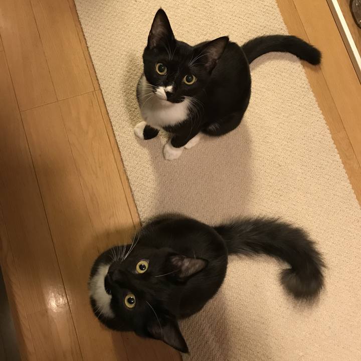 379be8bc 30b2 44ae 82f8 ca1321023819