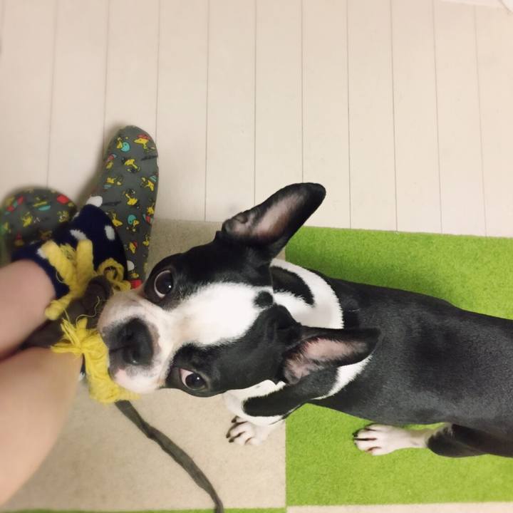 379c6198 2b89 4b61 8617 0d1e35c5066b