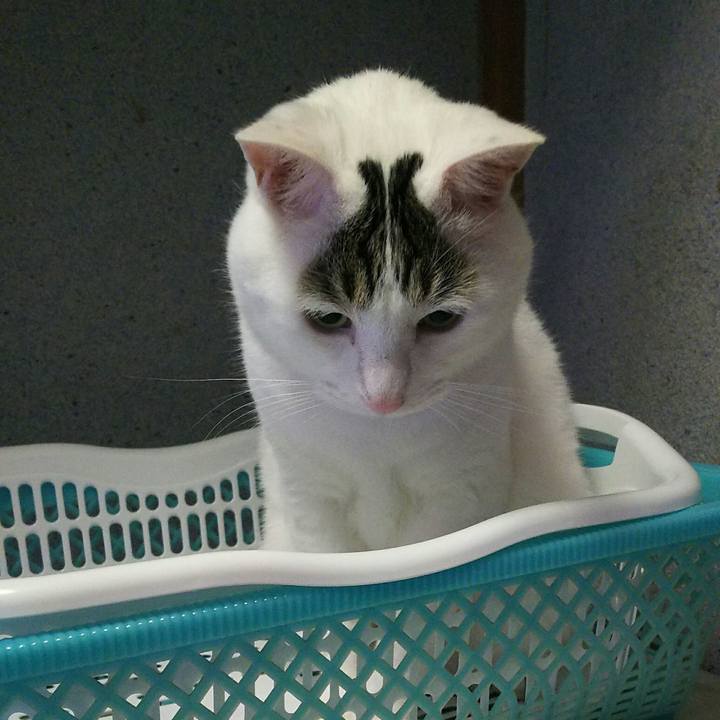 379c9153 494b 4287 b0f4 74b6d3fd1b59