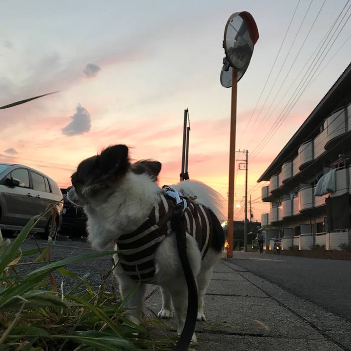 379c9782 0c5e 4d17 9c12 43c790647e1c