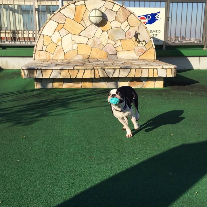 379d4c88 babb 409c 9de9 e37fb9e03249