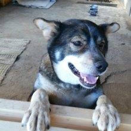 379d6e50 a546 4bb9 b1f4 10db3d37cb8a