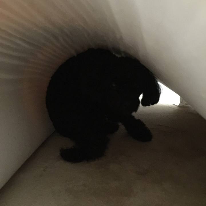 379d8aeb 506e 41ff bbef 7c3af109d869