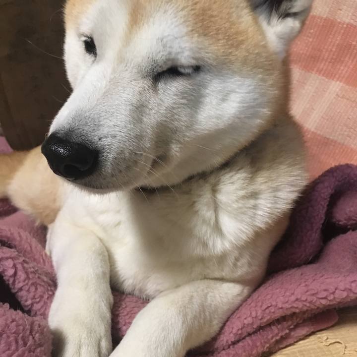 379db38f c31a 443f b1a7 9147fe09c1cb