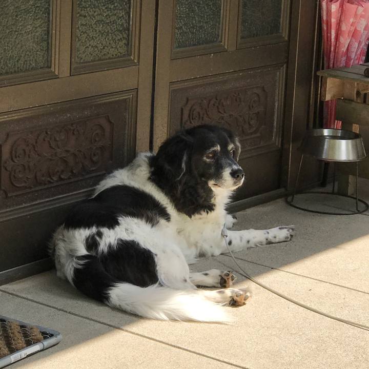 379dea96 a261 46dc bbd4 aacb2a517b79