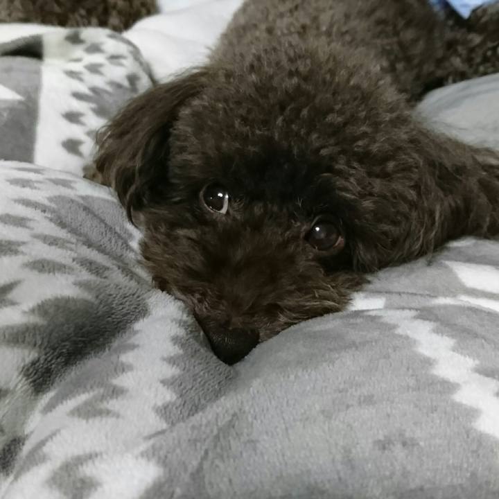 379e5d63 3b61 437d a4c6 ba57abdc5e2f