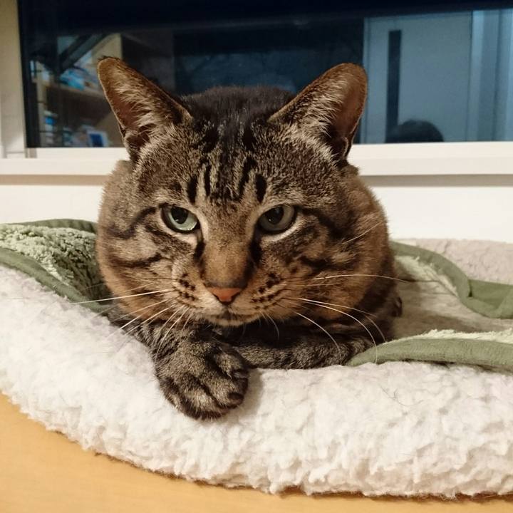 379e7d60 0e63 439f b6b4 4a8b943b1160