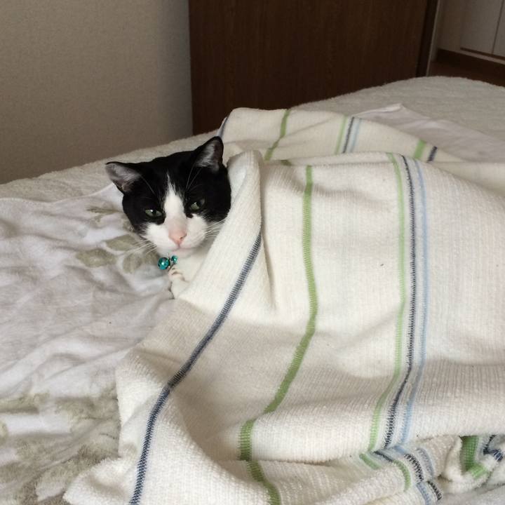 37a0b0c0 0d06 4acb 94c7 4c7adf1d35ec