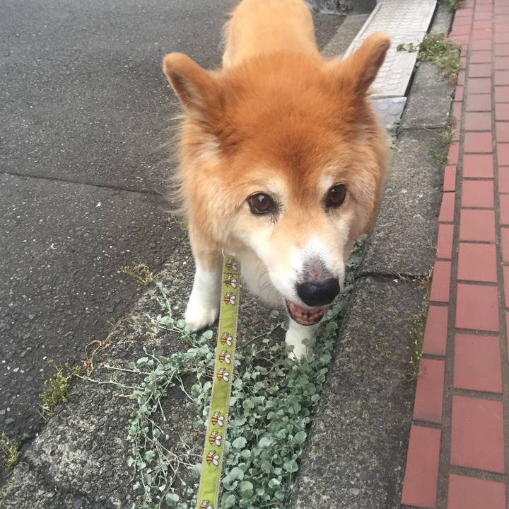 37a2611f b1af 41e6 98bb b0b64a17723d