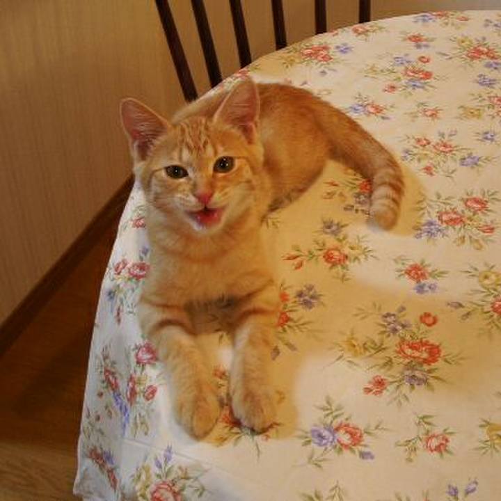 37a26e77 e527 42b8 84df 1754cb7dd14c