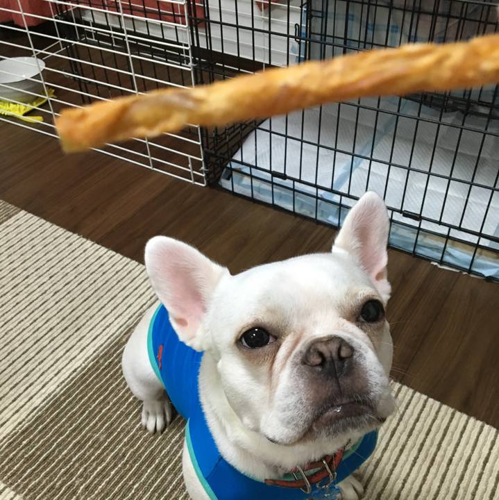 37a39afd e4b7 4afd bcbe e6a69d09252a