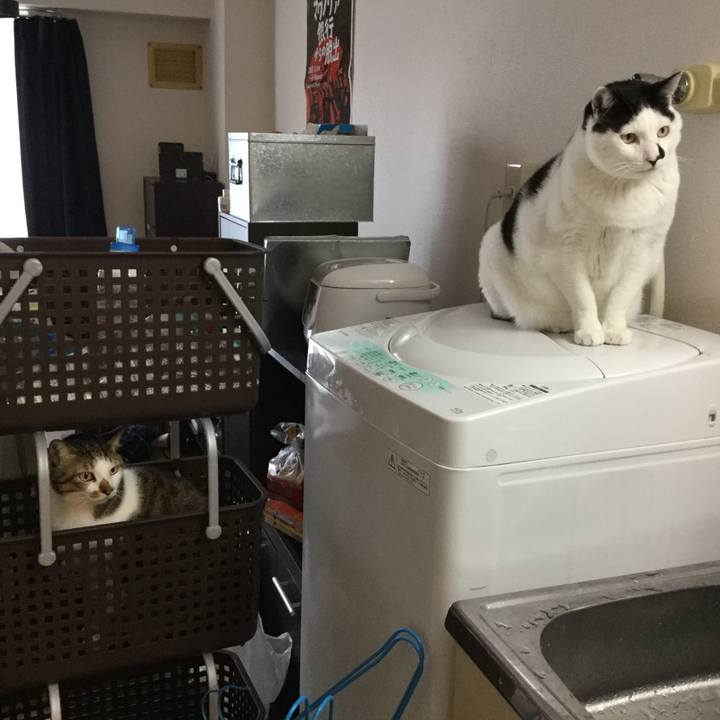 37a3de1d 1941 49ff 9b46 6cd8c44aaada