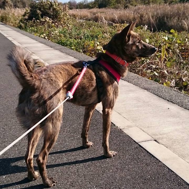 37a3de4c efd0 4564 a147 194a84e5579d