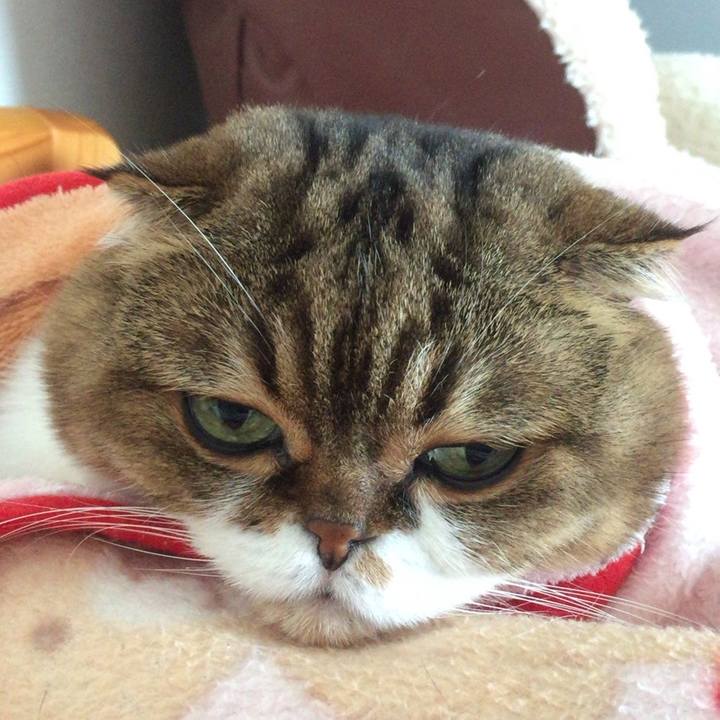 37a3dfda cc68 4dc3 af92 c330adad8ede