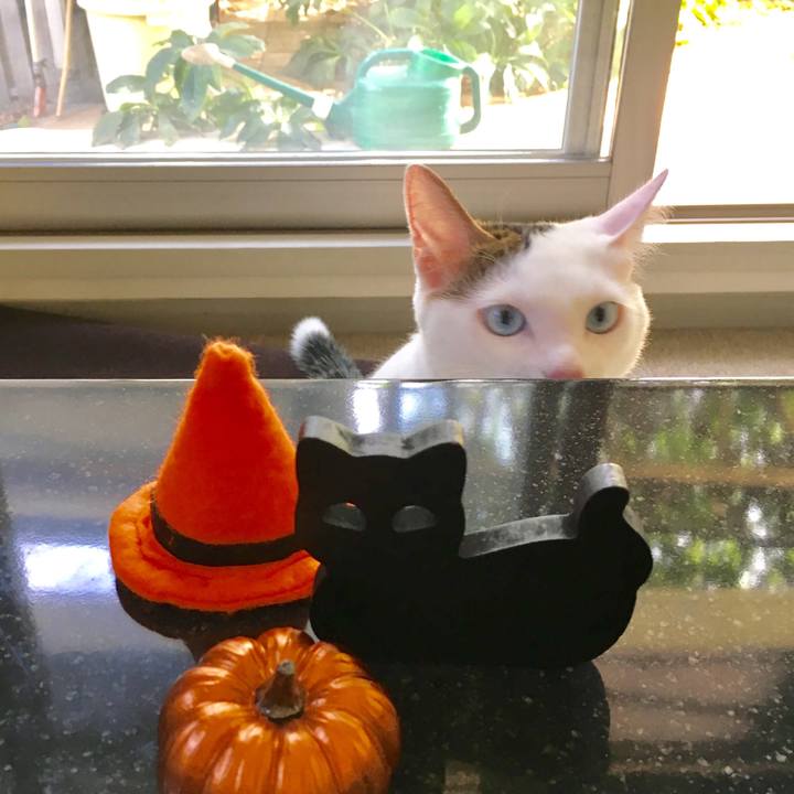 37a42956 6605 4789 81d2 9719076a4799