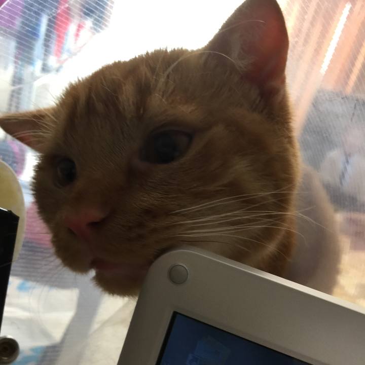 37a4e760 7225 4eca 968f 876d4f576120