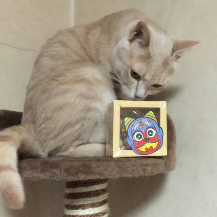 37a53c0c cf2b 4c8b 9150 a26b01e4615a