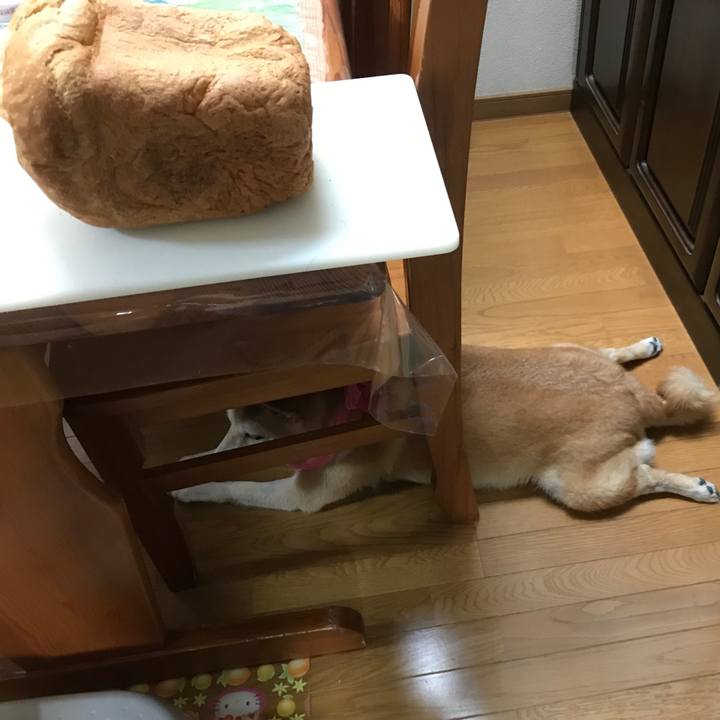 37a56289 ecc4 4d7c b04a 572fd2f86d7b