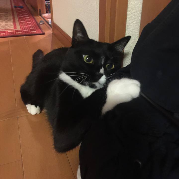 37a58bf0 927c 4e4d b597 20228364bebf