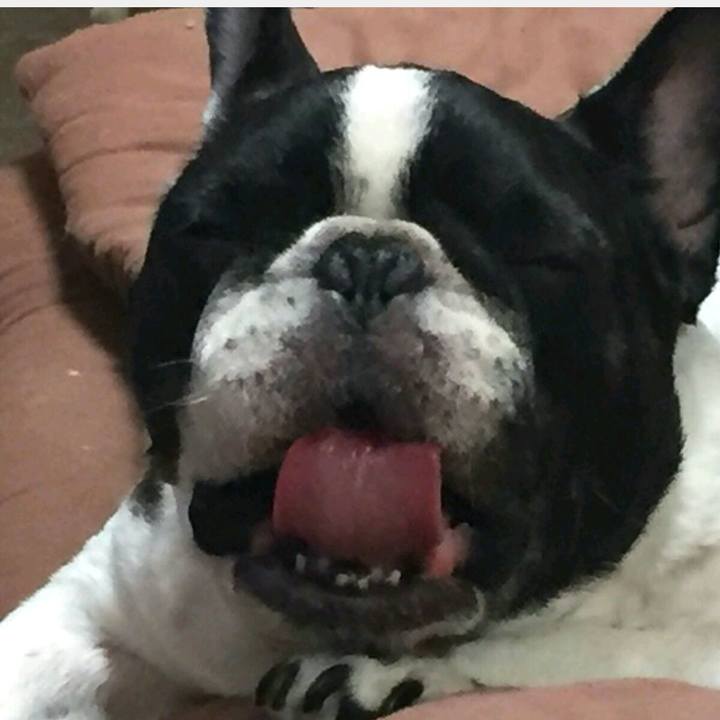 37a5b40c 2cd3 493d bb47 ad7c415becf9