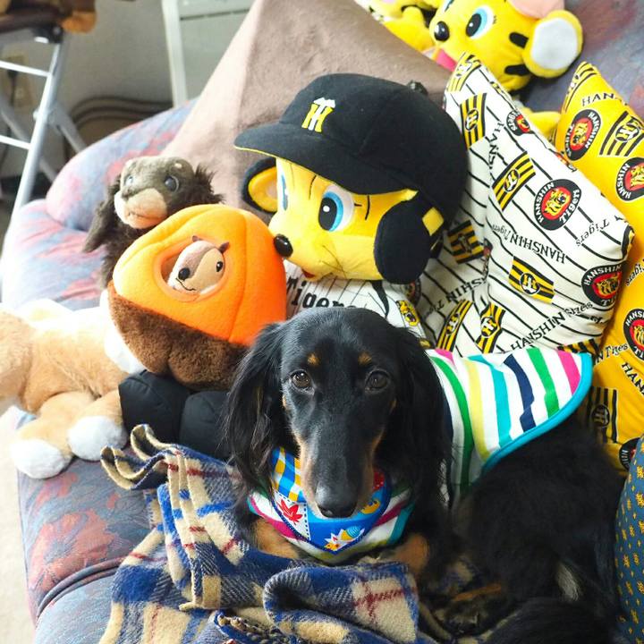 37a658f7 b1cf 44b5 ae7f 5b5b75696ca7