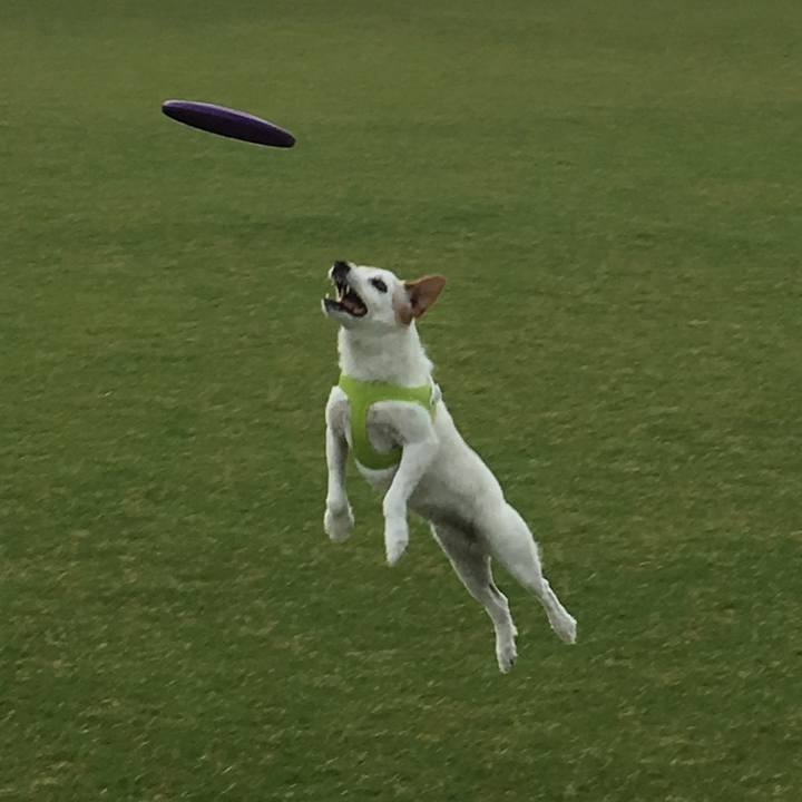 37a68e40 5bd2 4515 9f78 c4f4ea0de7cc