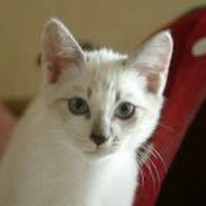 37a71e64 87fd 426f b349 fd0d9980a242