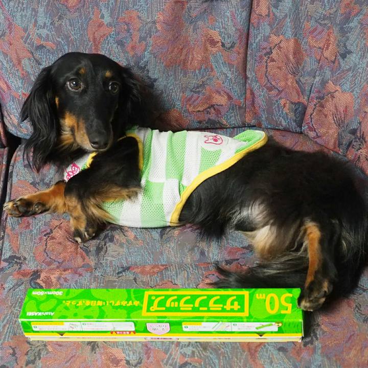 37a744e1 8fe5 476d 8f7b 18f584c804a6